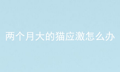 两个月大的猫应激怎么办