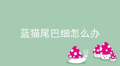 蓝猫尾巴细怎么办