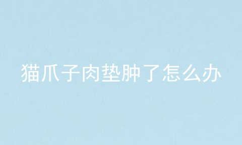 猫爪子肉垫肿了怎么办