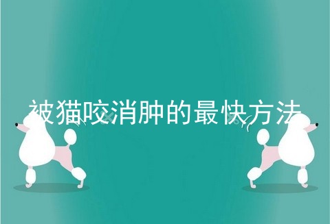 被猫咬消肿的最快方法