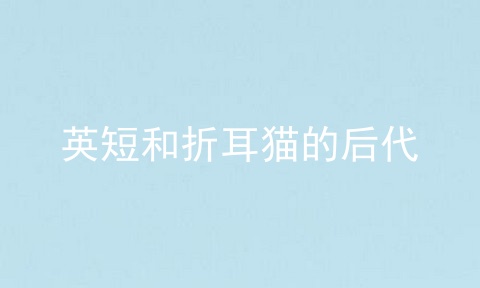 <a href=/cat/13.html target=_blank class=infotextkey>英短</a>和折耳猫的后代