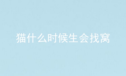 猫什么时候生会找窝