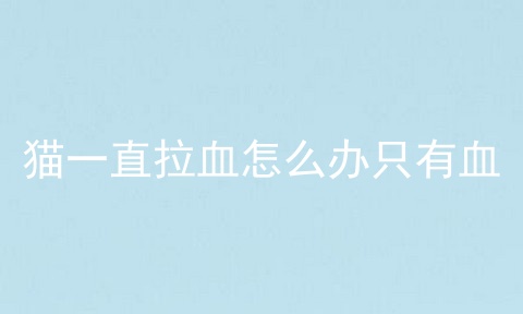 猫一直拉血怎么办只有血
