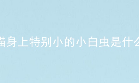 猫身上特别小的小白虫是什么