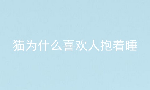 猫为什么喜欢人抱着睡