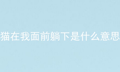 猫在我面前躺下是什么意思