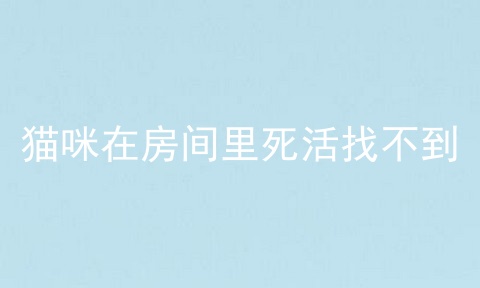 猫咪在房间里死活找不到