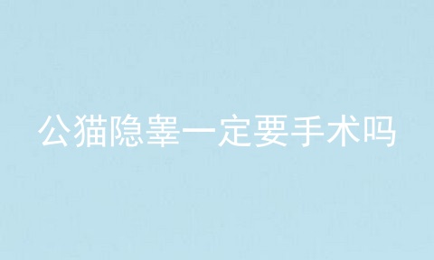 公猫隐睾一定要手术吗