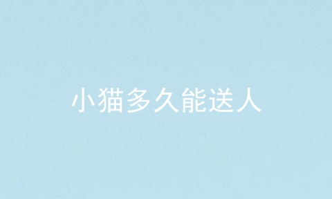 小猫多久能送人