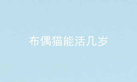 布偶猫能活几岁