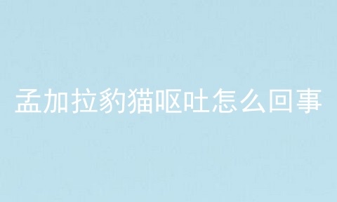 孟加拉豹猫呕吐怎么回事