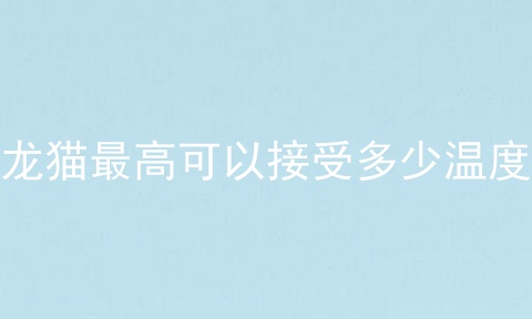 龙猫最高可以接受多少温度
