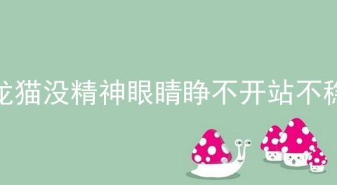 龙猫没精神眼睛睁不开站不稳