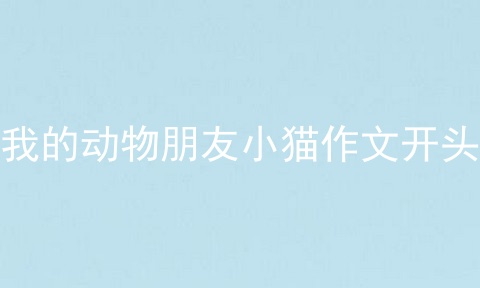 我的动物朋友小猫作文开头