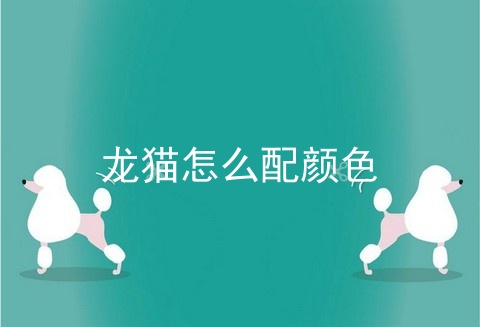 龙猫怎么配颜色