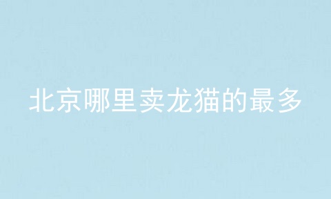 北京哪里卖龙猫的最多