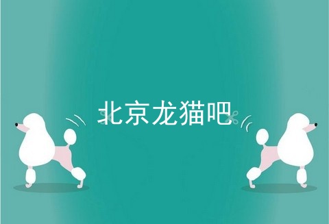 北京龙猫吧