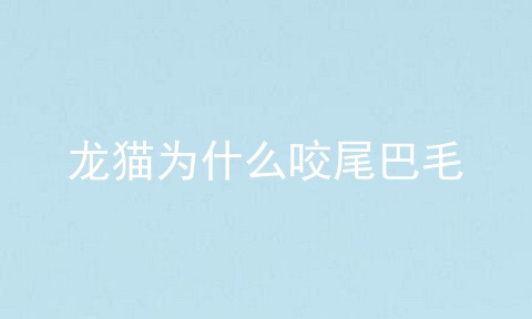 龙猫为什么咬尾巴毛