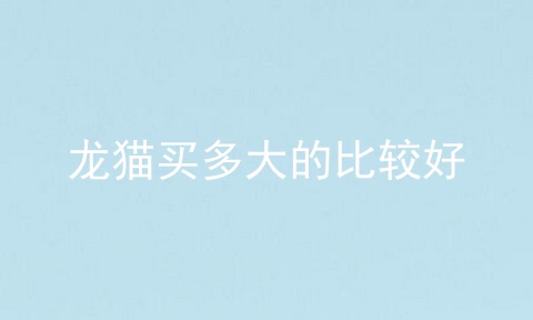 龙猫买多大的比较好