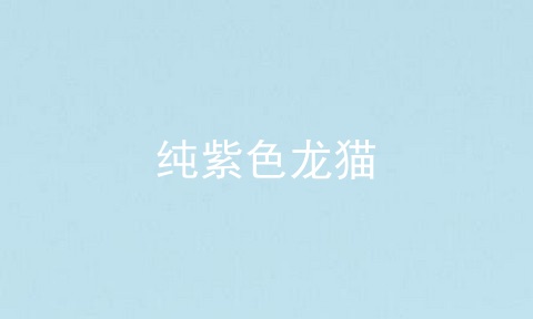 纯紫色龙猫