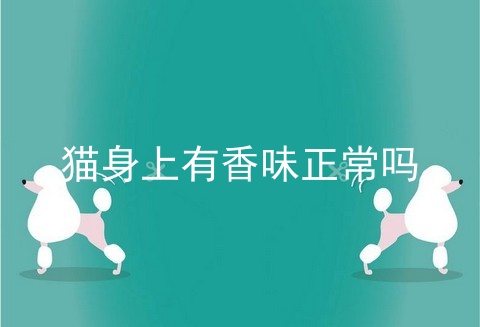 猫身上有香味正常吗