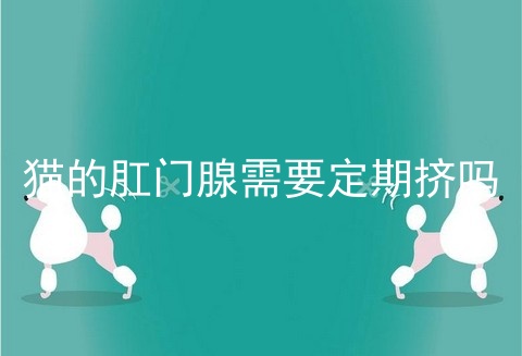 猫的肛门腺需要定期挤吗