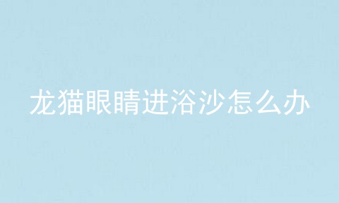 龙猫眼睛进浴沙怎么办