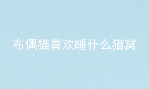 布偶猫喜欢睡什么猫窝