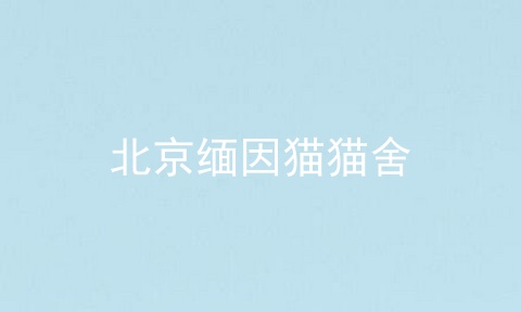 北京缅因猫猫舍