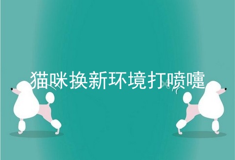 猫咪换新环境打喷嚏