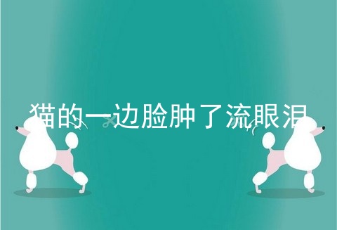 猫的一边脸肿了流眼泪