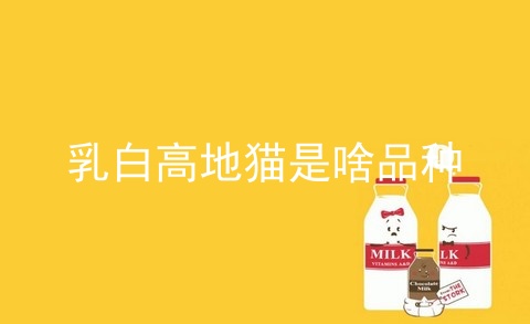 乳白高地猫是啥品种