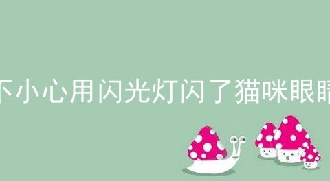 不小心用闪光灯闪了猫咪眼睛