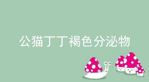 公猫丁丁褐色分泌物