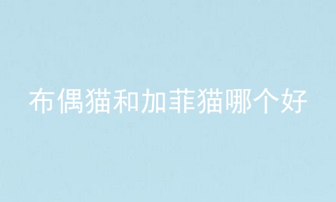 布偶猫和加菲猫哪个好