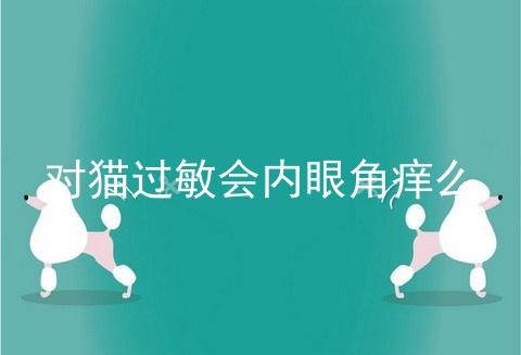 对猫过敏会内眼角痒么