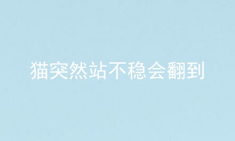 猫突然站不稳会翻到