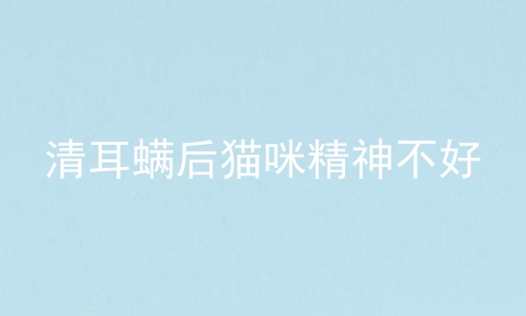 清耳螨后猫咪精神不好