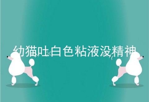 幼猫吐白色粘液没精神