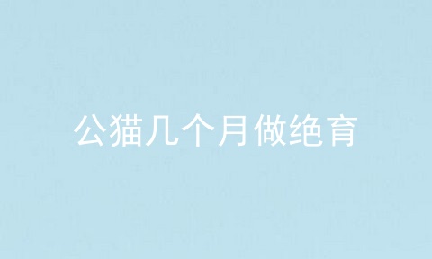 公猫几个月做绝育