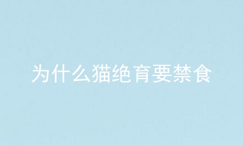 为什么猫绝育要禁食