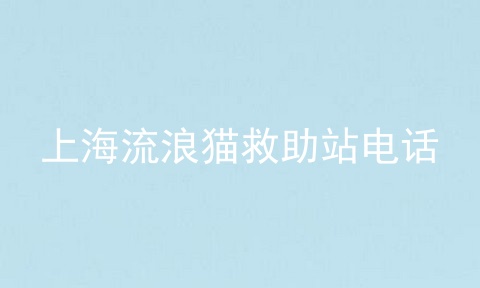 上海流浪猫救助站电话
