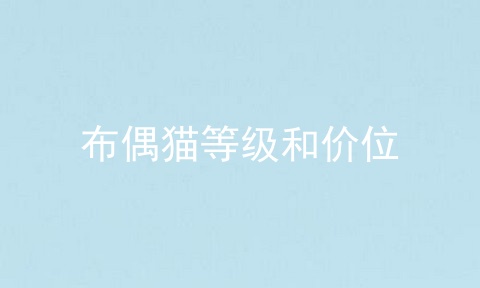 布偶猫等级和价位