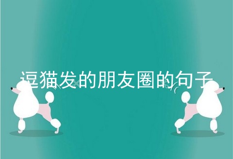逗猫发的朋友圈的句子