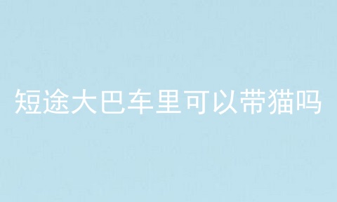 短途大巴车里可以带猫吗