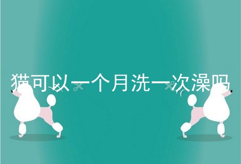 猫可以一个月洗一次澡吗