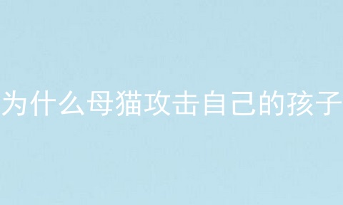 为什么母猫攻击自己的孩子