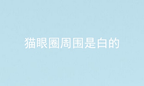 猫眼圈周围是白的