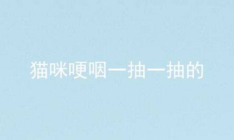 猫咪哽咽一抽一抽的
