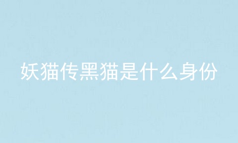 妖猫传黑猫是什么身份
